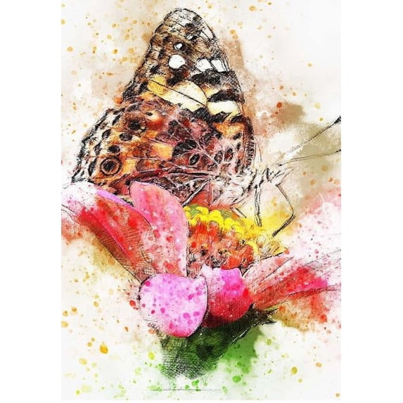 A Butterfly on a Flower Notebook : Size 6.69 X 9.61 - Interior Has 150 Lined Pages - Glossy Softcover