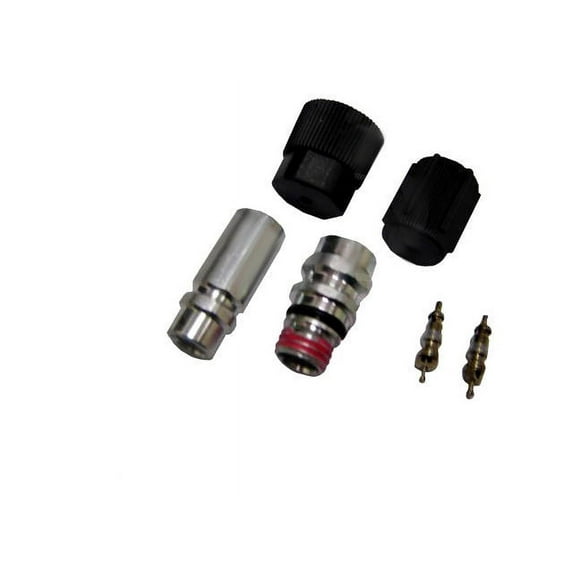 A/C System Valve Core and Cap Kit - Compatible with 1994 - 2010 Volkswagen Jetta 1995 1996 1997 1998 1999 2000 2001 2002 2003 2004 2005 2006 2007 2008 2009