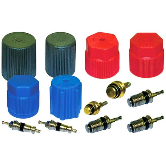 A/C System Valve Core and Cap Kit - Compatible with 1994 - 1997 Ford L9000 1995 1996