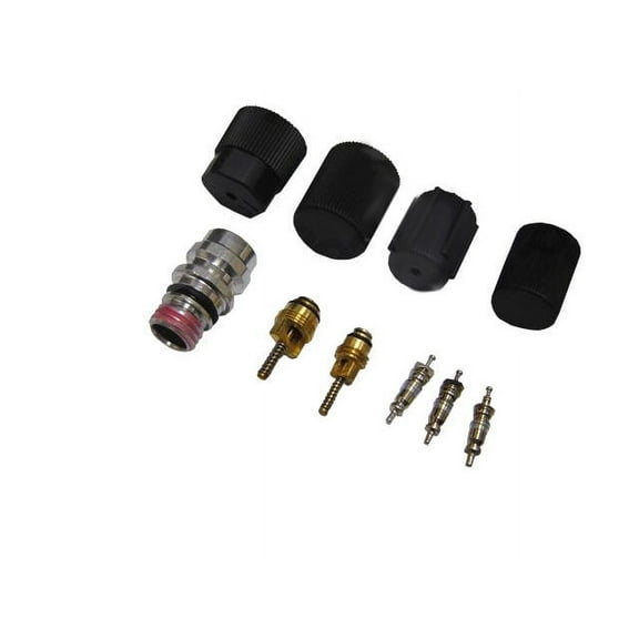 A/C System Valve Core and Cap Kit - Compatible with 1994 - 2001 Jeep Cherokee 1995 1996 1997 1998 1999 2000
