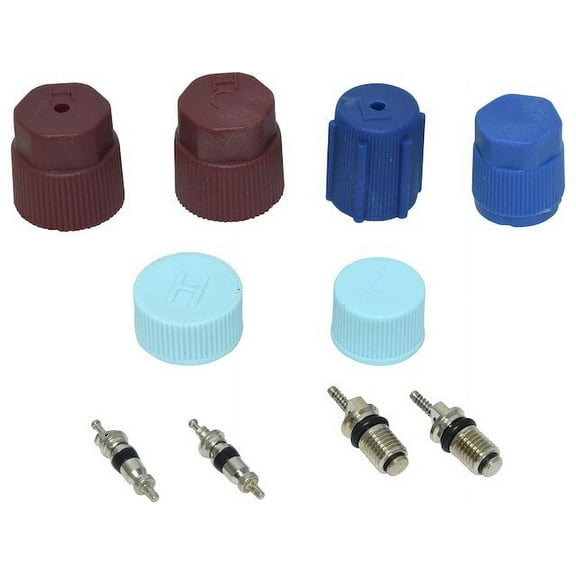 A/C System Valve Core and Cap Kit - Compatible with 1995 - 2007 Toyota Tacoma 1996 1997 1998 1999 2000 2001 2002 2003 2004 2005 2006