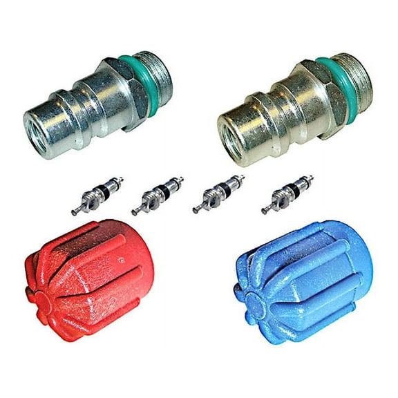 A/C System Valve Core and Cap Kit - Compatible with 1999 - 2006 Mercedes-Benz E55 AMG 2000 2001 2002 2003 2004 2005