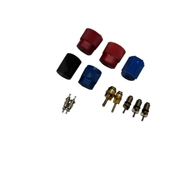 A/C System Valve Core and Cap Kit - Compatible with 1999 - 2007 Ford E-350 Super Duty 2000 2001 2002 2003 2004 2005 2006