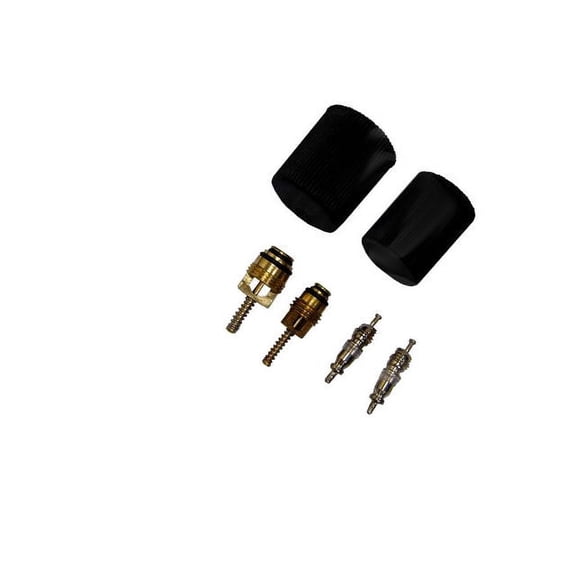 A/C System Valve Core and Cap Kit - Compatible with 2000 - 2005 Ford Excursion 2001 2002 2003 2004