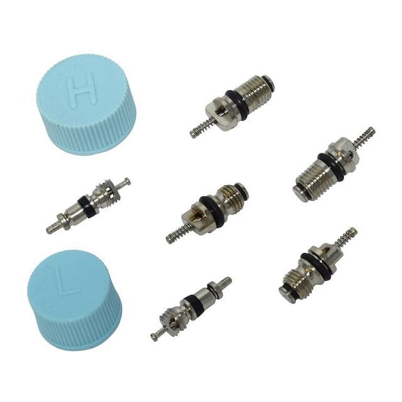 A/C System Valve Core and Cap Kit - Compatible with 2001 - 2013 Kia Optima 2002 2003 2004 2005 2006 2007 2008 2009 2010 2011 2012