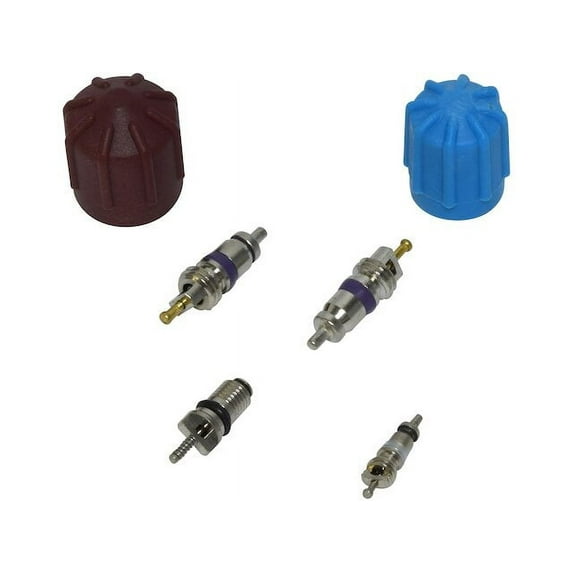 A/C System Valve Core and Cap Kit - Compatible with 2004 - 2013 BMW X3 2005 2006 2007 2008 2009 2010 2011 2012