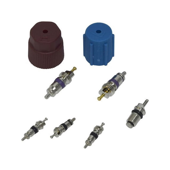 A/C System Valve Core and Cap Kit - Compatible with 2005 - 2013 Audi A6 Quattro 2006 2007 2008 2009 2010 2011 2012