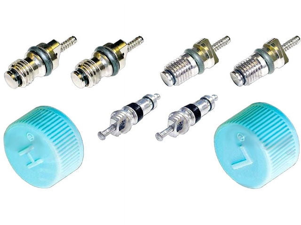 Kia Rio Ac System Valve Core And Cap Kit
