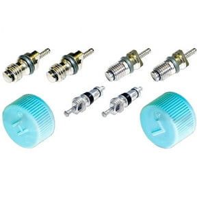 A/C System Valve Core and Cap Kit - Compatible with 2010 - 2011 Hyundai Genesis Coupe
