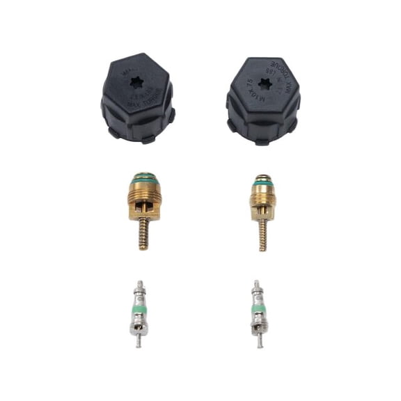 A/C System Valve Core and Cap Kit - Compatible with 2015 - 2021 Ford Mustang 2016 2017 2018 2019 2020