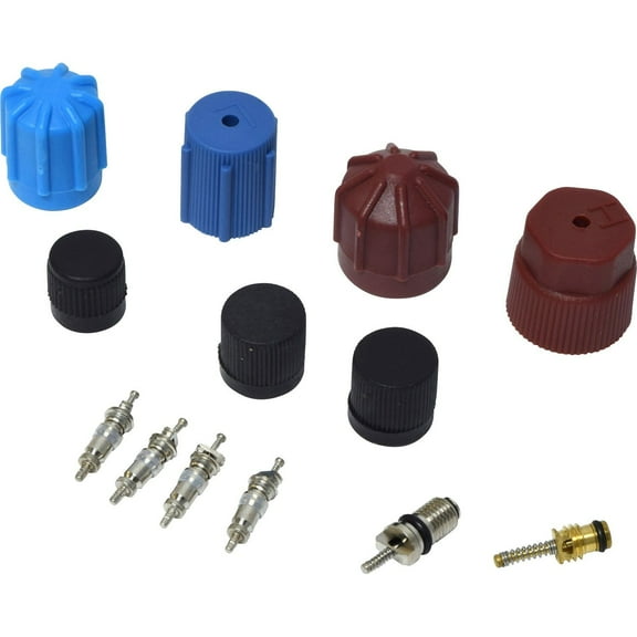 A/C System Valve Core and Cap Kit -- Valve and Cap Kit Fits select: 1989-1993 FORD RANGER, 1966-1970 FORD MUSTANG