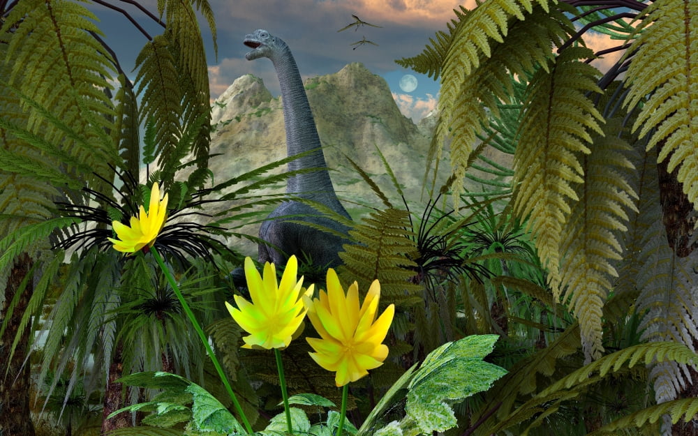 A Camarasaurus dinosaur dieting on the fresh upper leaves on trees Canvas Art - Mark StevensonStocktrek Images (18 x 12)