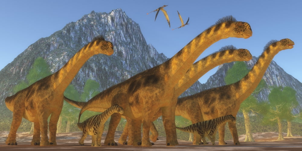 A Camarasaurus sauropod dinosaur herd keeps watch on their offspring Canvas Art - Corey FordStocktrek Images (40 x 20)