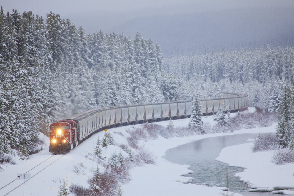 A Canadian Pacific Train Travels Along The Alberta Highway 1A Lake Louise Alberta Canada Canvas Art - Chris Bolin Design Pics (18 x 12)