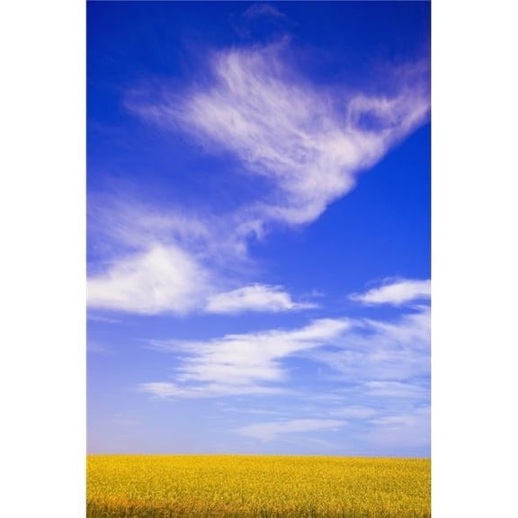 A Canola Field Poster Print by Carson Ganci, 22 x 34 - Large
