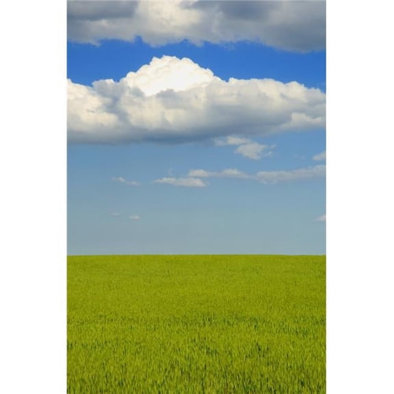 A Canola Field Poster Print by Dean Muz, 22 x 34 - Large