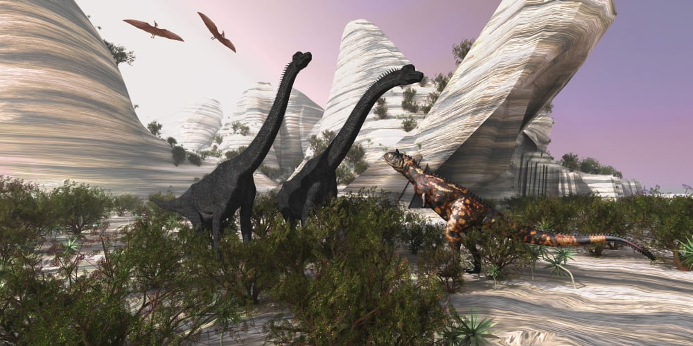 A Carnotaurus dinosaur approaches two Brachiosaurus for a battle Canvas Art - Corey FordStocktrek Images (40 x 20)