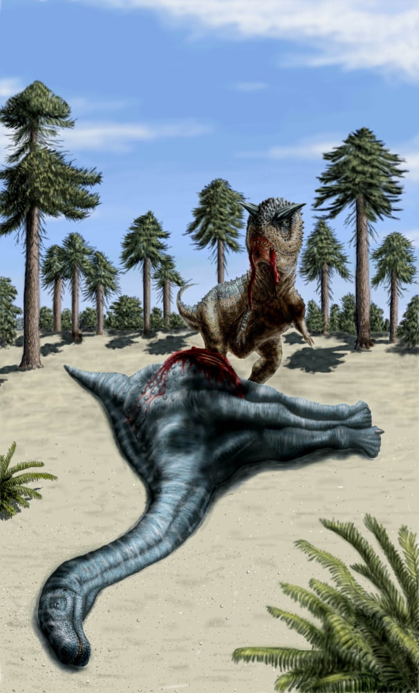 A Carnotaurus eating the flesh of a dead Chubutisaurus Canvas Art - Yuriy PriymakStocktrek Images (22 x 36)