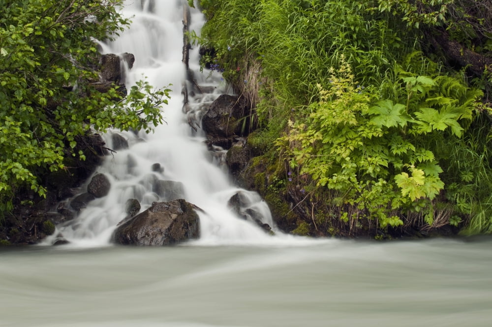 A Cascading Waterfall Flows Into Granite Creek Turnagain Pass Chugach National Forest Summer Canvas Art - Carl Johnson Design Pics (17 x 11)