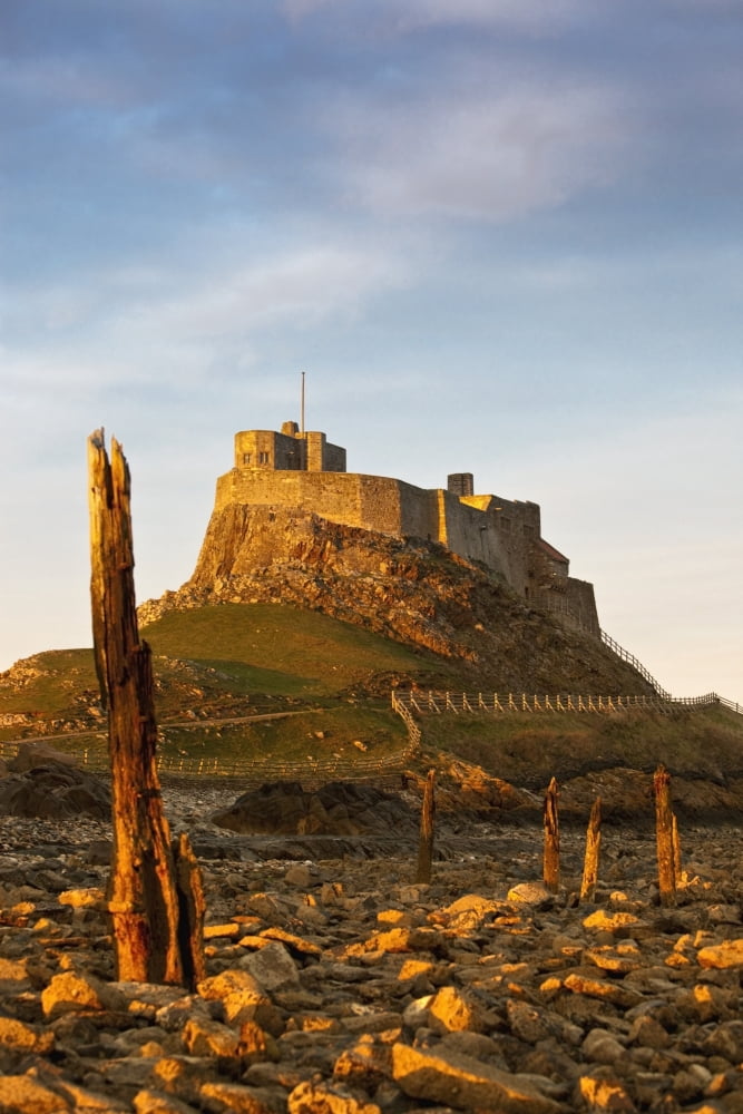 A Castle On The Tidal Island Also Known As Holy Island Lindisfarne Northumberland England Canvas Art - John Short Design Pics (12 x 19)