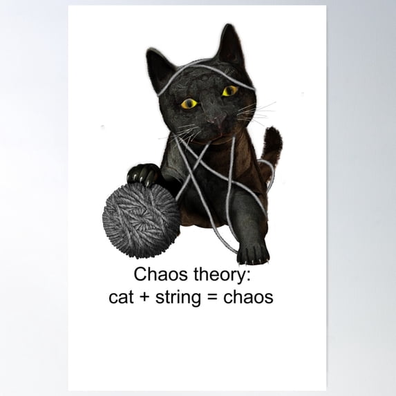 A Cat And Chaos Theory Defined Poster Wall Art, Modern Wall Decor For Living Room Bedroom, 24x36 UNFRAMED