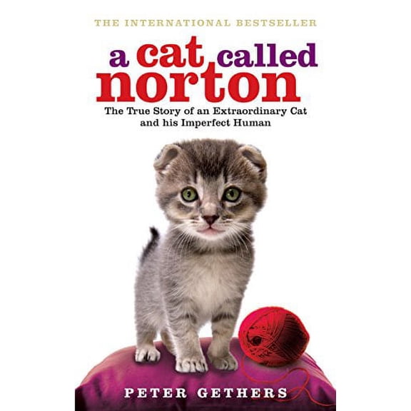 A Cat Called Norton: The True Story of an Extraordinary Cat and His Imperfect Human