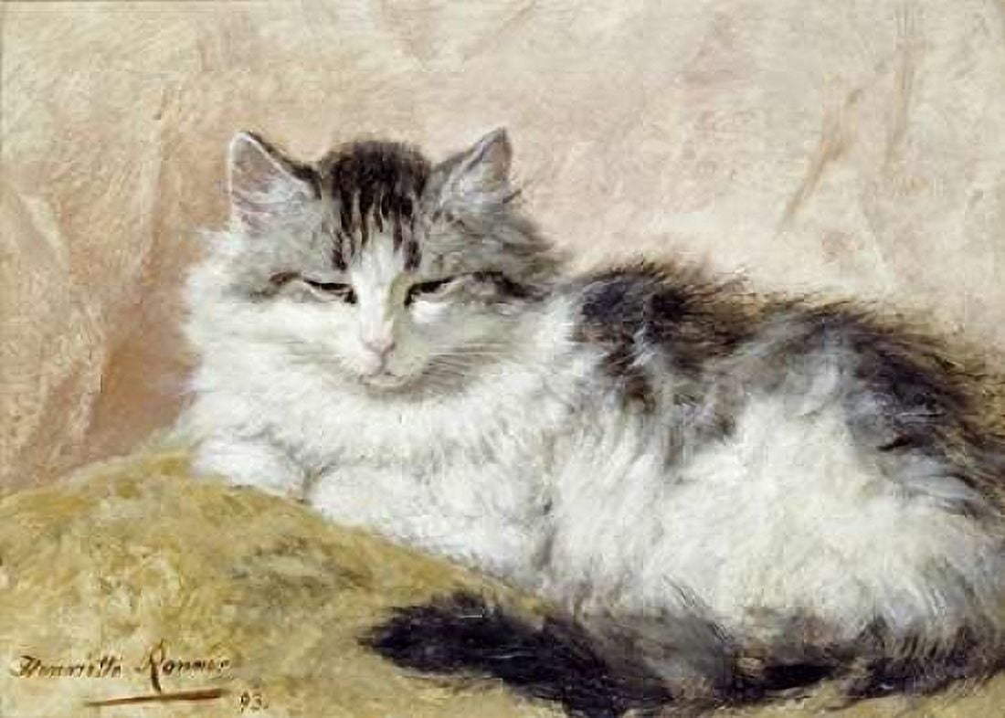 A Cat Canvas Art - Henriette Ronner-Knip (20 x 28)