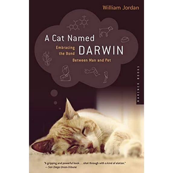 Pre-Owned A Cat Named Darwin: Embracing the Bond Between Man and Pet (Paperback) 0618382283 9780618382286