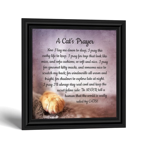 A Cat's Prayer Wall Art Picture Frame for Kitten Lovers