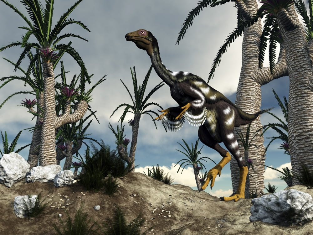 A Caudipteryx dinosaur walking among trees Canvas Art - Elena DuvernayStocktrek Images (17 x 13)