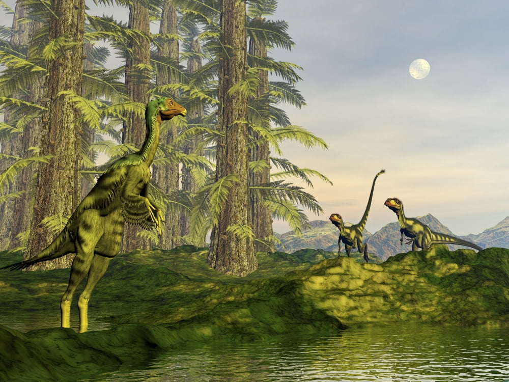 A Caudipteryx watching Dilong dinosaurs approaching Canvas Art - Elena DuvernayStocktrek Images (33 x 25)