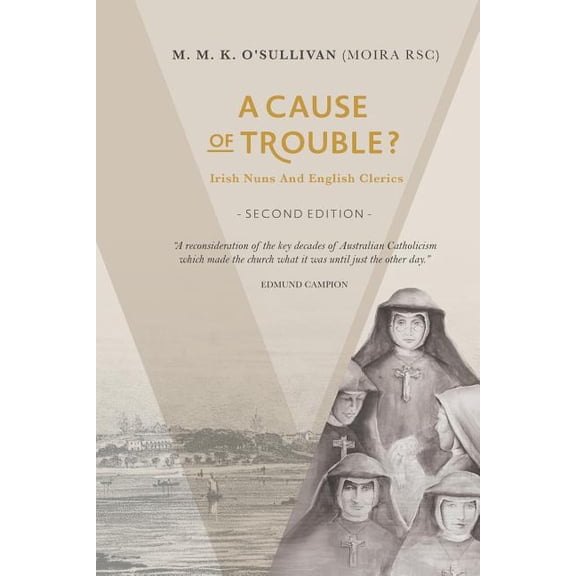 A Cause of Trouble? (Paperback)