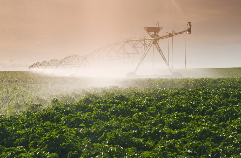 A Center Pivot Irrigation System Watering Potato Crop Tiger Hills Manitoba Canada Canvas Art - Dave Reede  Design Pics (19 x 12)