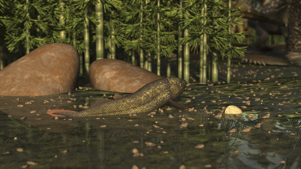 A Ceratodus lungfish from the early Cretaceous Canvas Art - Arthur DoretyStocktrek Images (38 x 22)