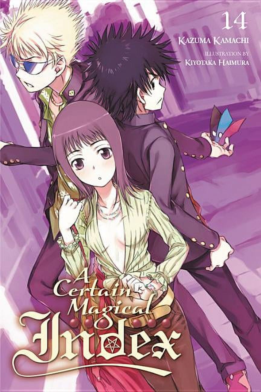 A Certain Magical Index: A Certain Magical Index, Vol. 14 (light novel