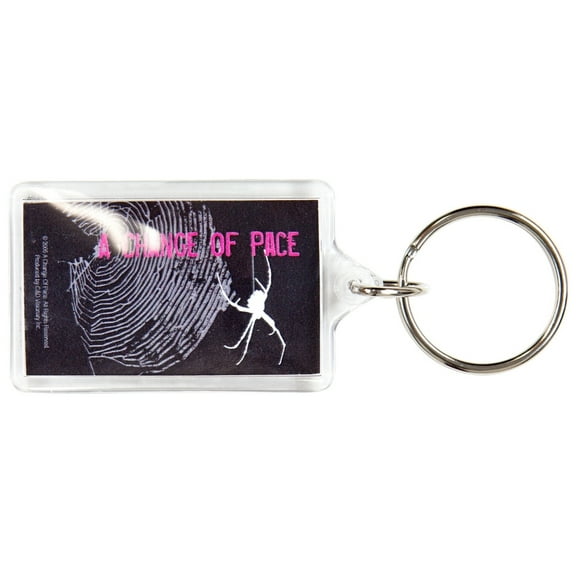A Change Of Pace - Spider Keychain