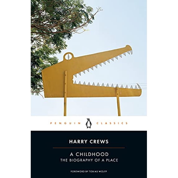 Pre-Owned A Childhood: The Biography of a Place (Penguin Classics), 9780143135333, 0143135333, Paperback,