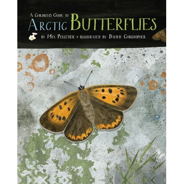 A Children's Guide to Arctic Butterflies (Hardcover)
