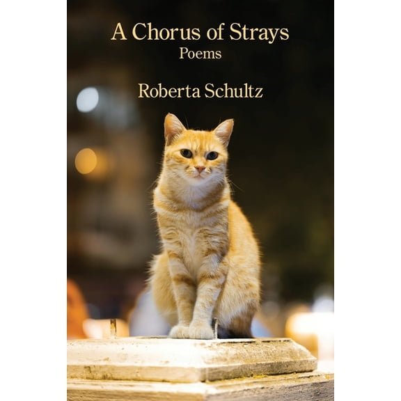 A Chorus of Strays, (Paperback)