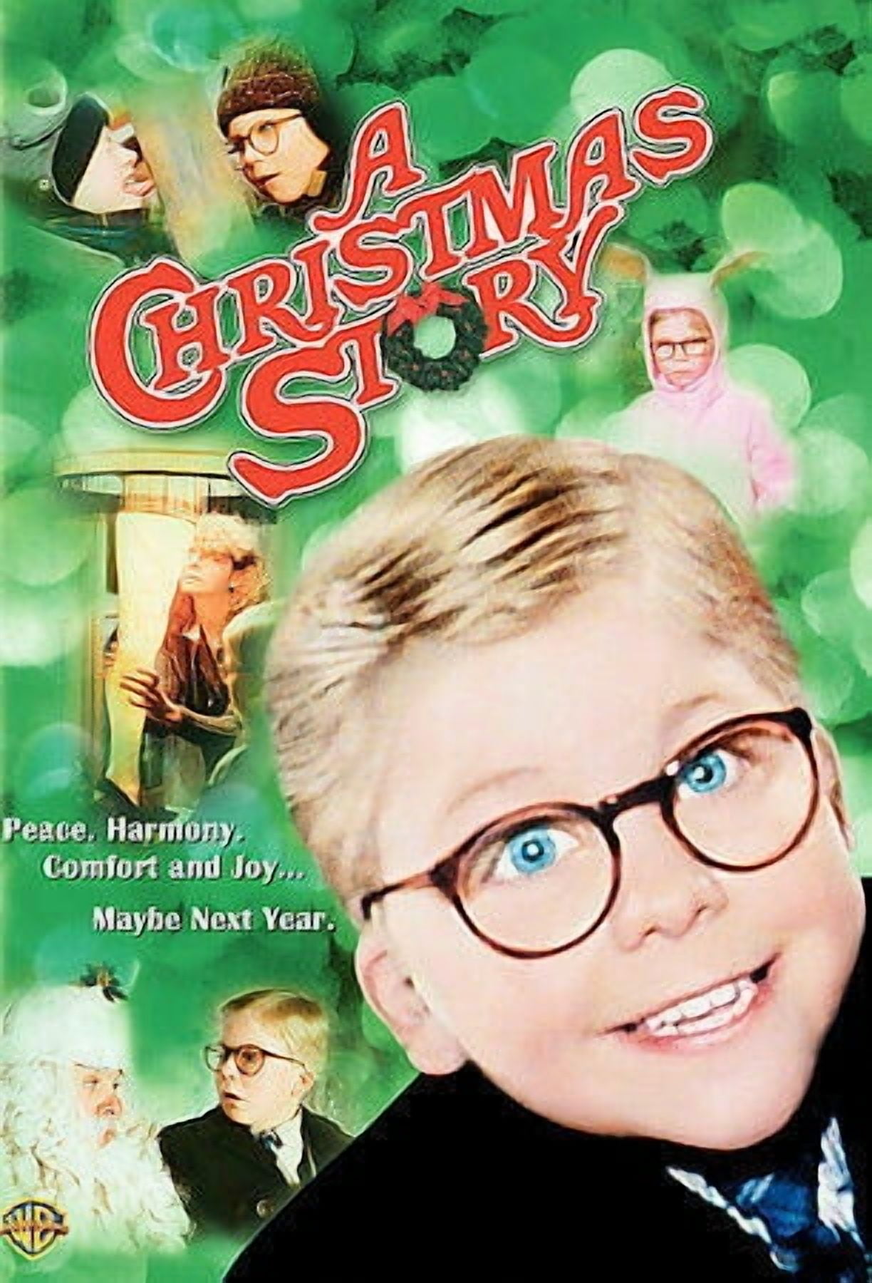 WARNER BROS. A Christmas Story [DVD]