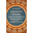 thumbnail image 1 of Pre-Owned A City Saunter Story: A Three Year Walking Quest to Discover the Wholeness of Lansing, Michigan Paperback - USED, 1 of 1
