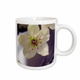 thumbnail image 1 of 3drose, a Close up of a Beautiful Blossom on a Tree in Springtime, 15oz Mug, 1 of 6