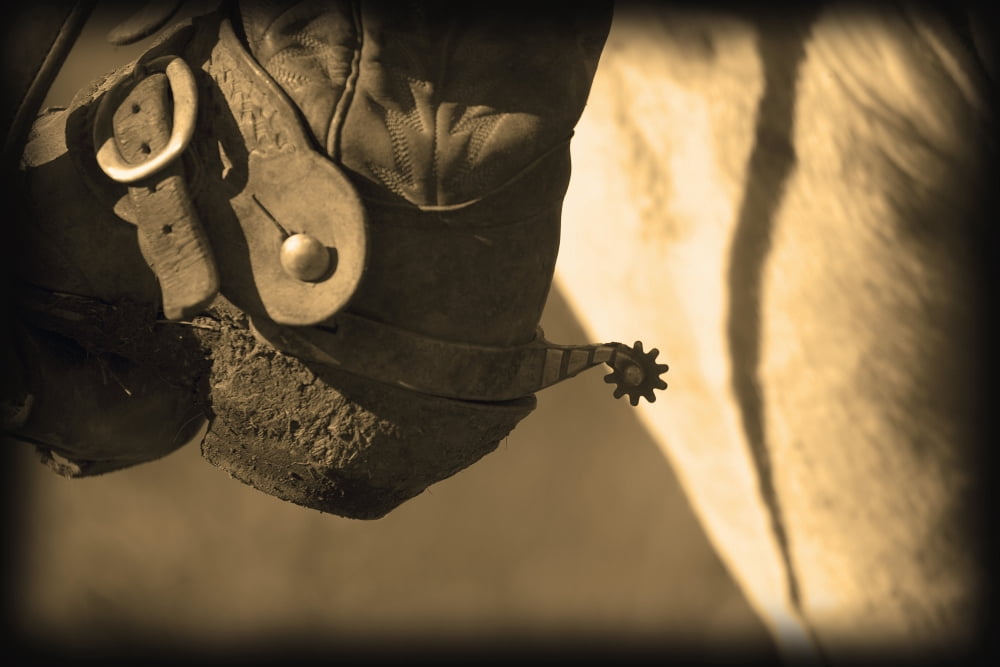 A Close-Up Of A Cowboy Boot Heel And Spur Canvas Art - Carson Ganci Design Pics (17 x 11)