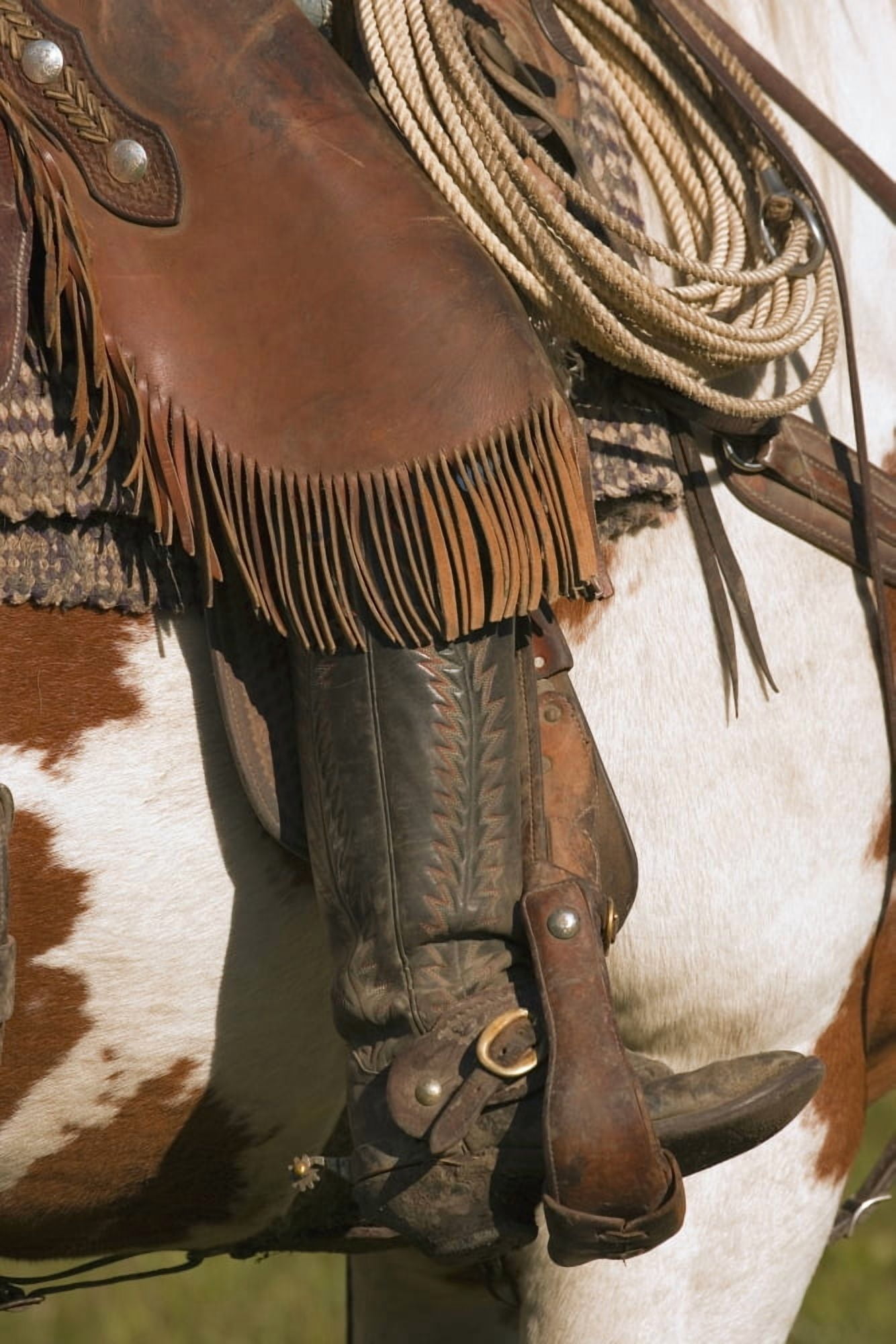 A Close-Up Of A Roper On Horseback Canvas Art - Carson Ganci Design Pics (22 x 34)