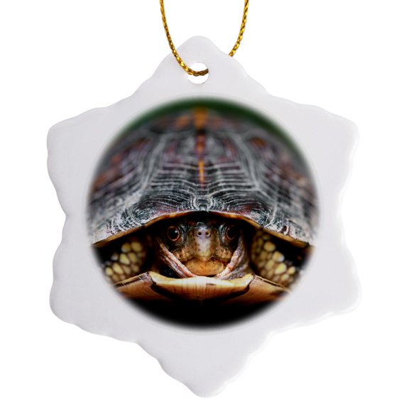 3drose, a Close up Photograph of a Box Turtle Coming Out of His Shell., 3 inch Snowflake Porcelain Ornament