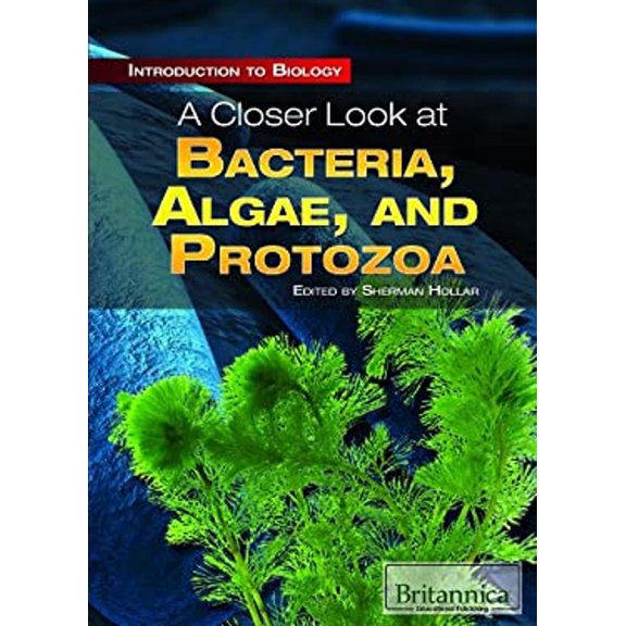 Pre-Owned A Closer Look at Bacteria, Algae, and Protozoa (Library Binding) 9781615305346