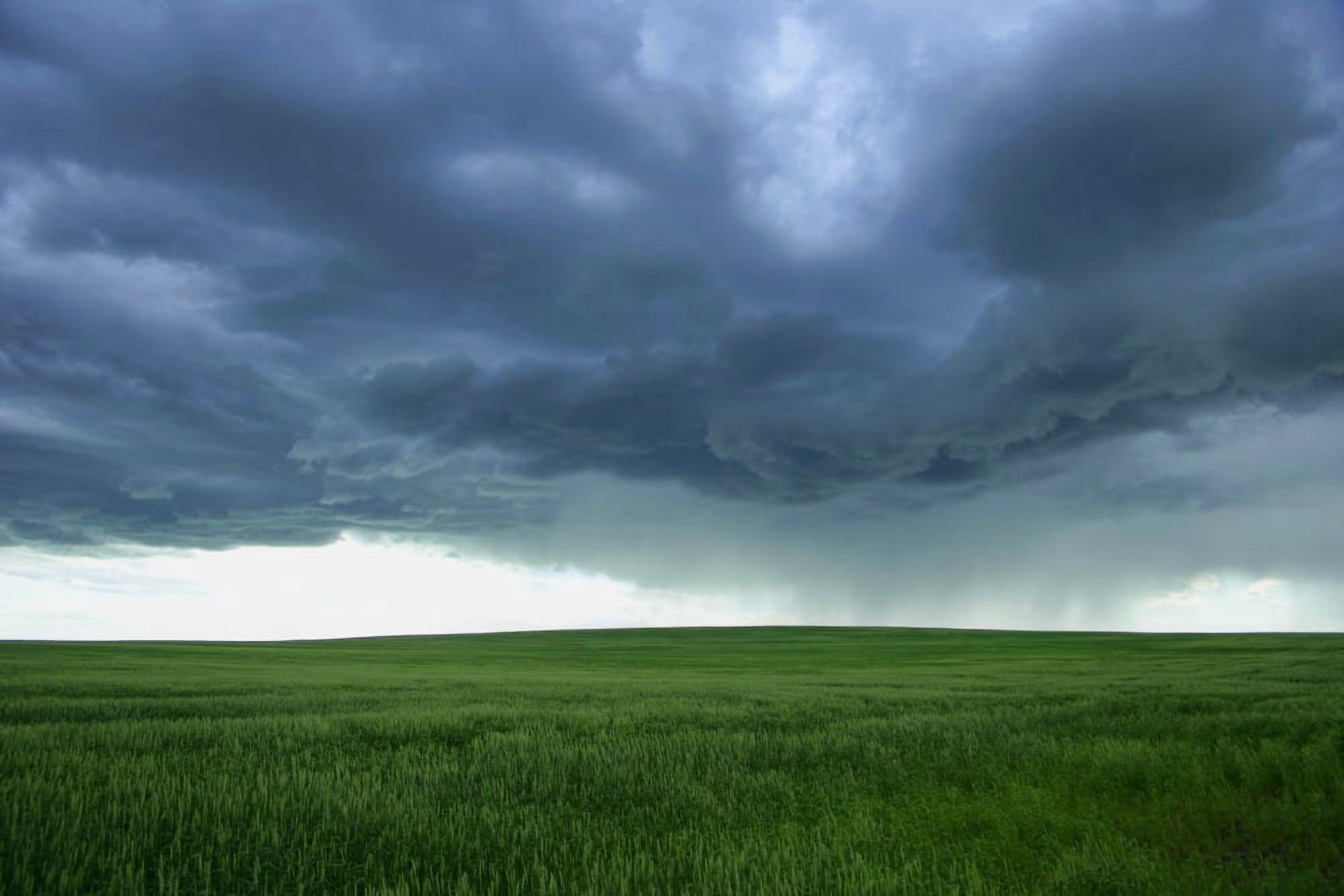 A Cloudy Sky Over A Field Alberta Canada Canvas Art - Don Hammond Design Pics (34 x 22)