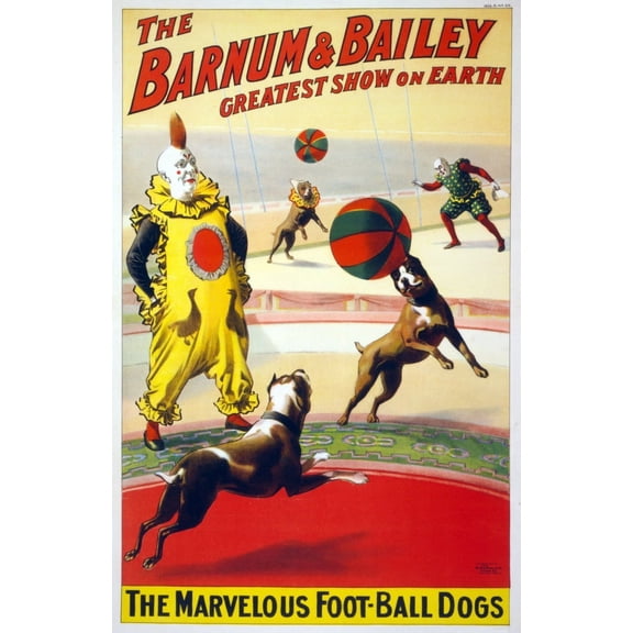 A Clown Perform With The Marvelous Foot-Ball Dogs In The Barnum & Bailey Circus. Poster History (24 x 36)