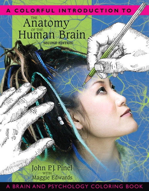 A Colorful Introduction to the Anatomy of the Human Brain: A Brain and Psychology Coloring Book, (Paperback)