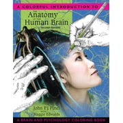 A Colorful Introduction to the Anatomy of the Human Brain A Brain and Psychology Coloring Book, Paperback